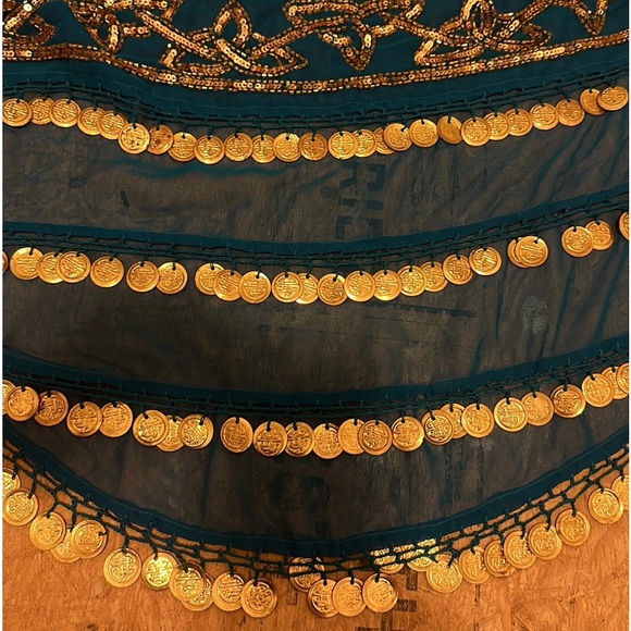 BELLY DANCING SKIRT by India Arts - Picture 5 of 6